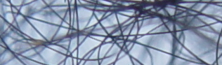 DSC06700b