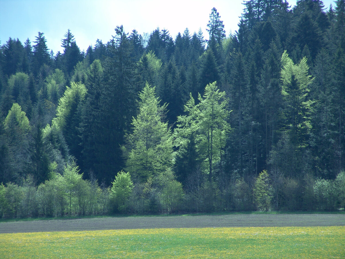 DSC06744.jpg