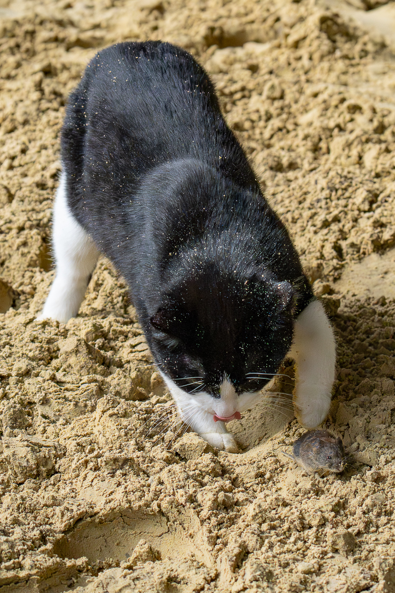 DSC07413.jpg