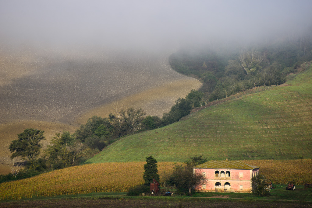 DSC0780