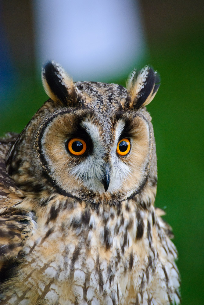 DSC0789