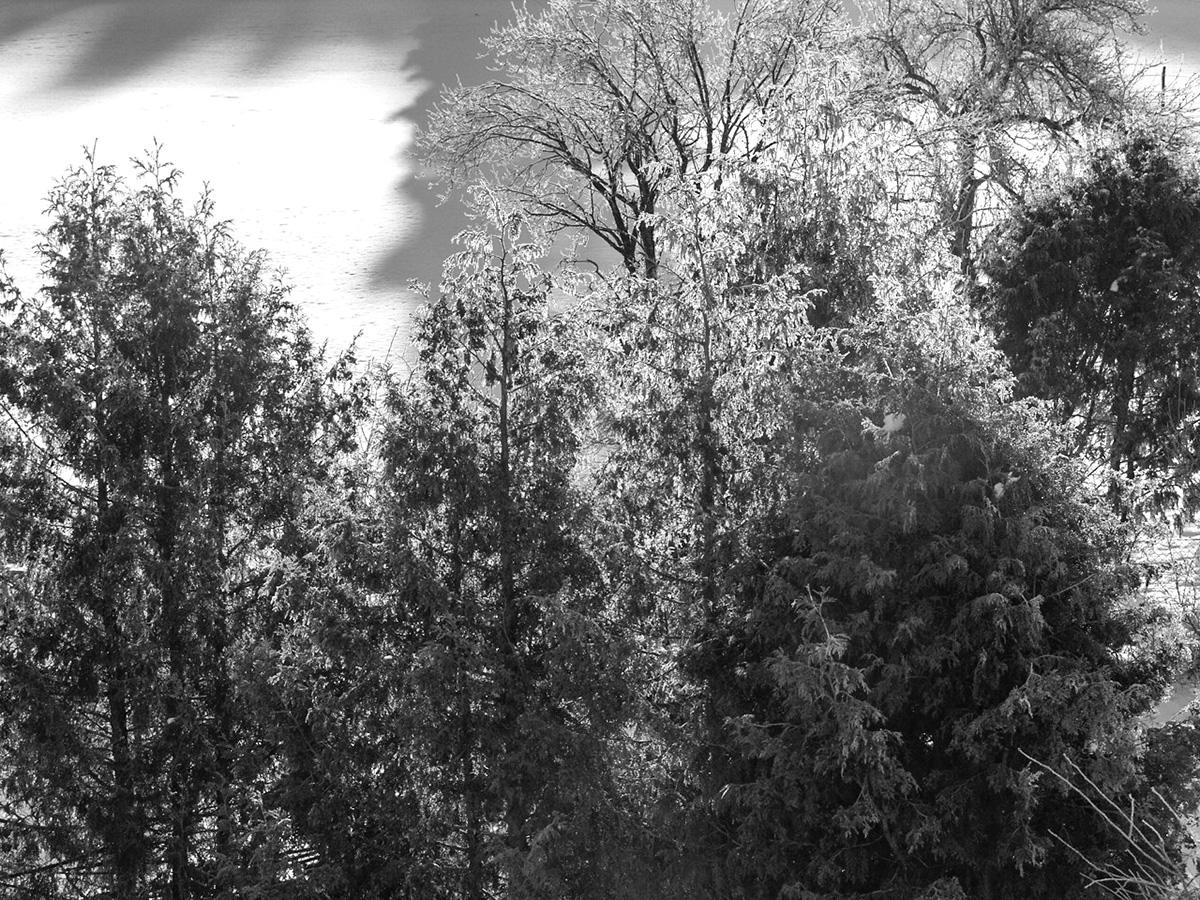 DSC07972-Edit.jpg