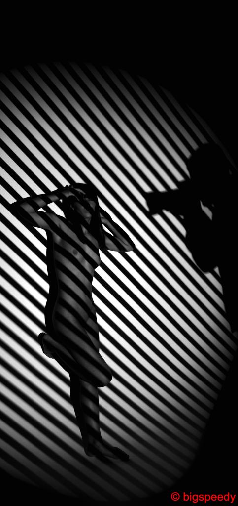 DSC0878 1bw