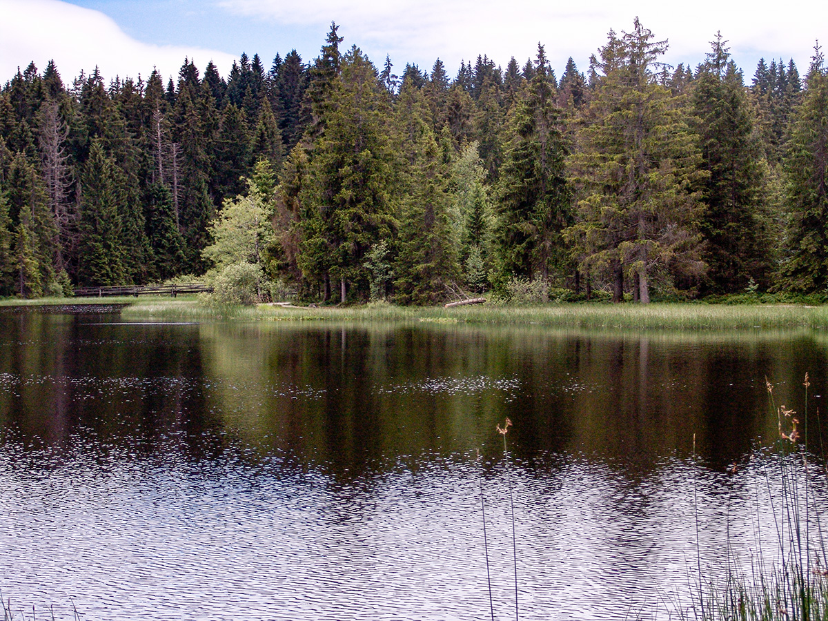 DSC08834.jpg