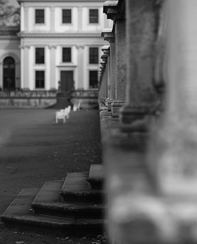 DSC0898 nff