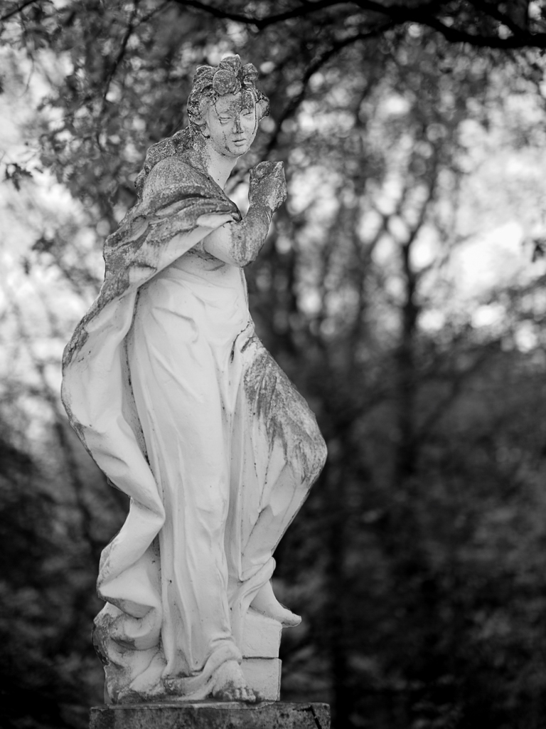 DSC0903n nff