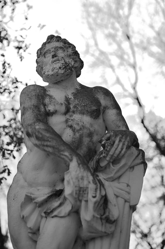 DSC0906n nff