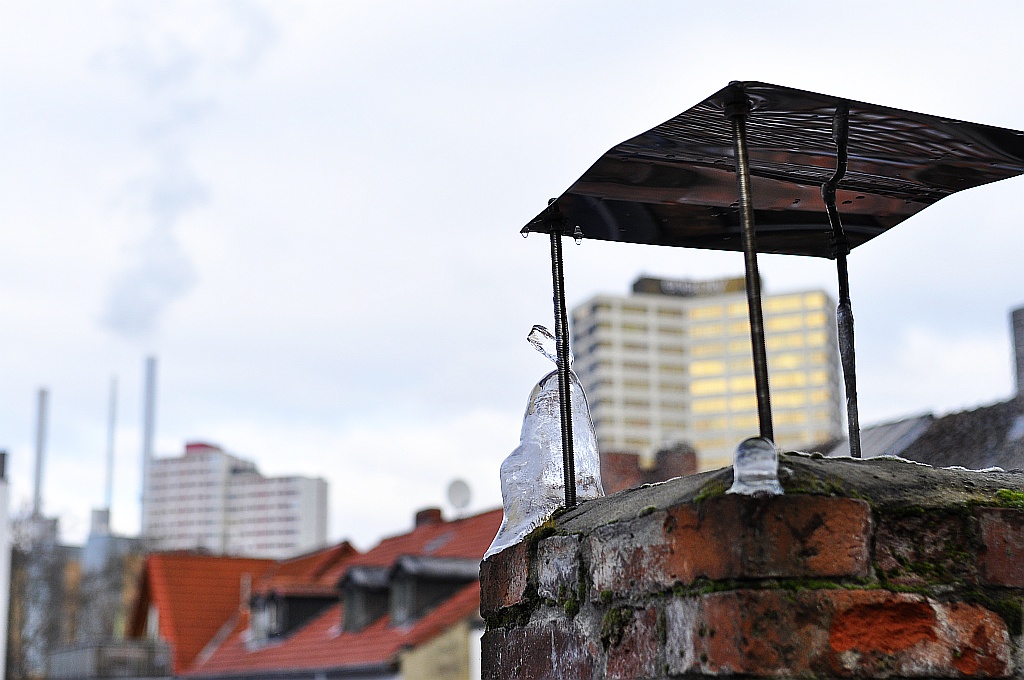 DSC0908a