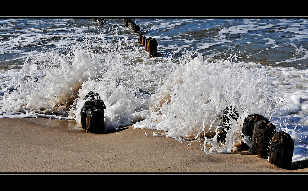 dsc0937cfjx7
