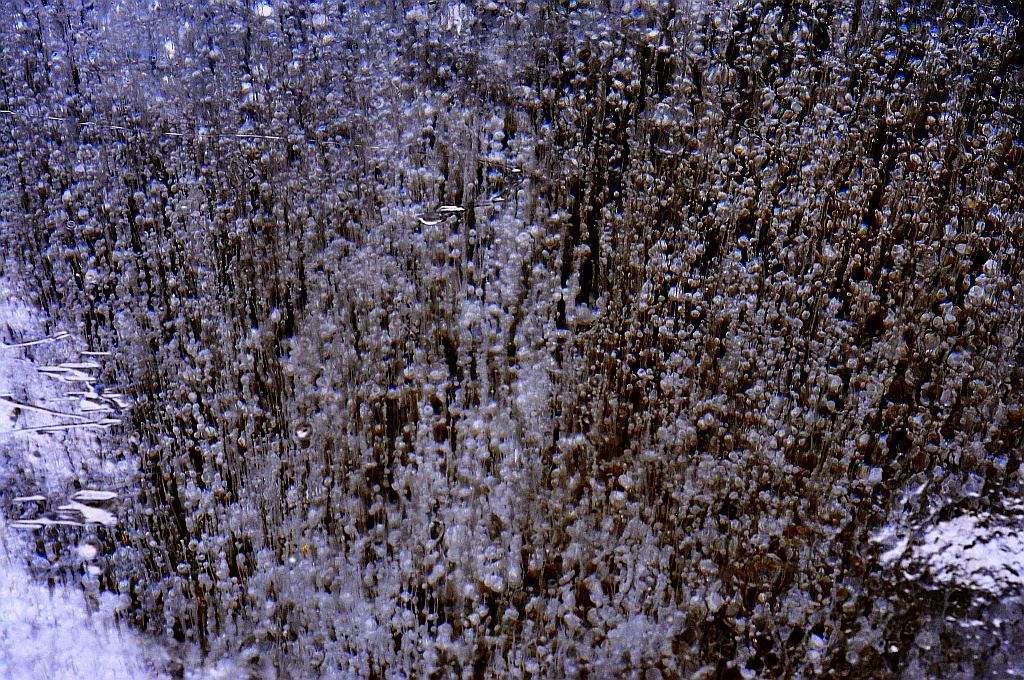DSC0955b