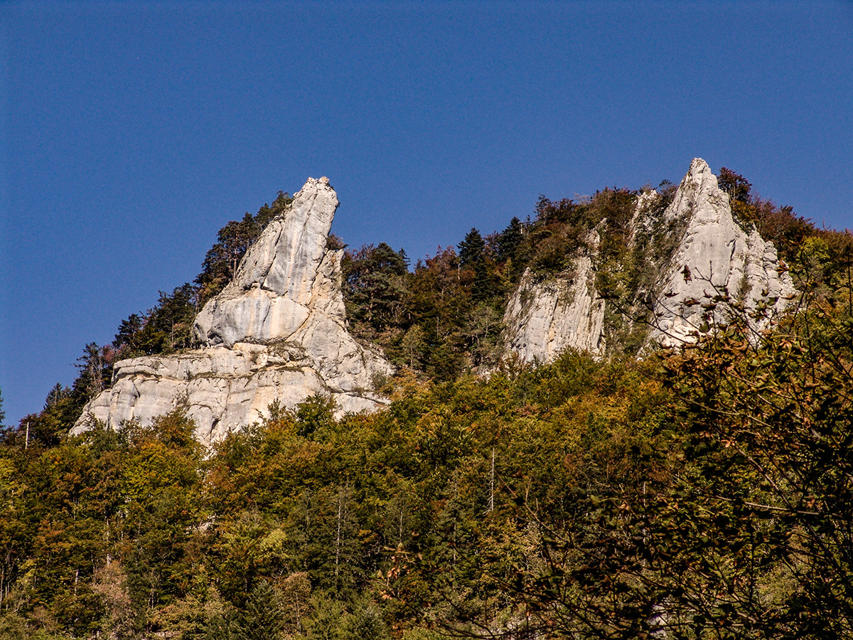 DSC09654.jpg