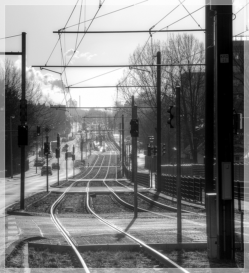 DSC1001 nff sw