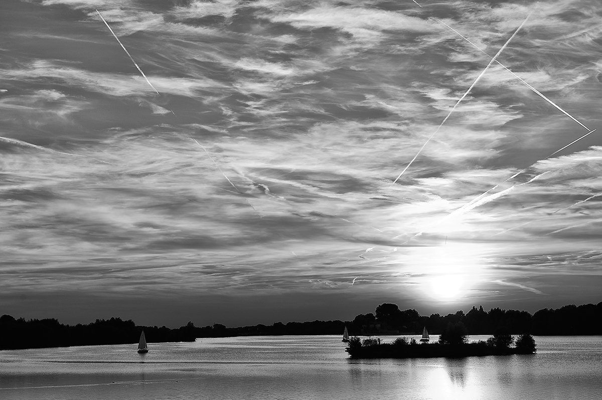 DSC1072 sw