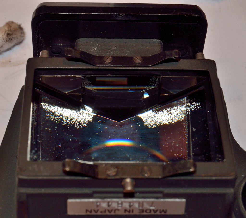 DSC11665