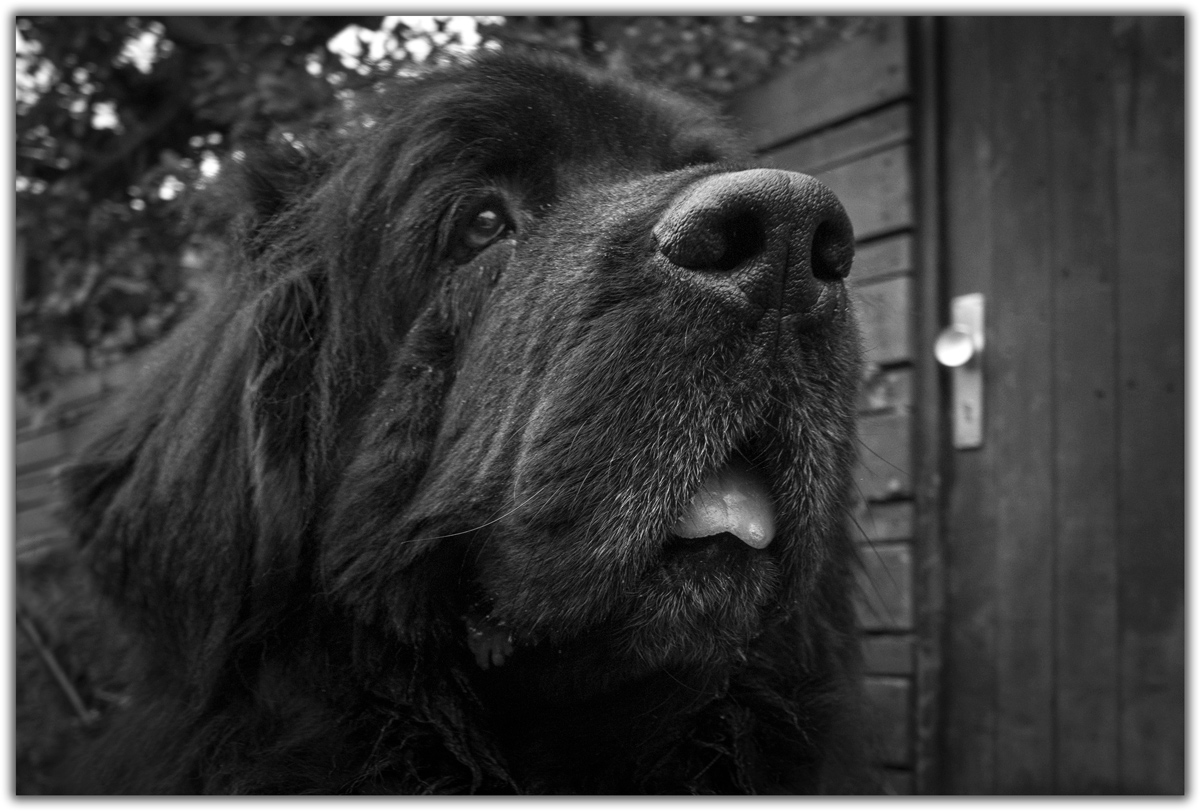 DSC1185 B Ps w