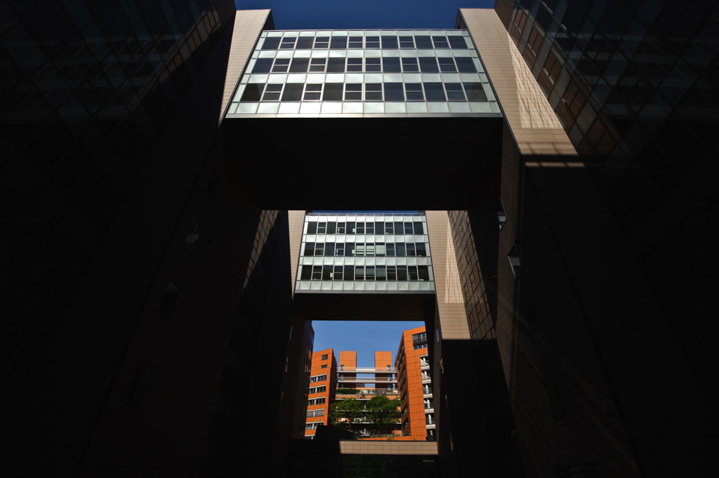 DSC1204