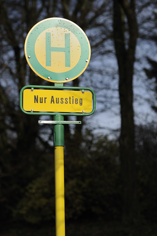 DSC1452 nff