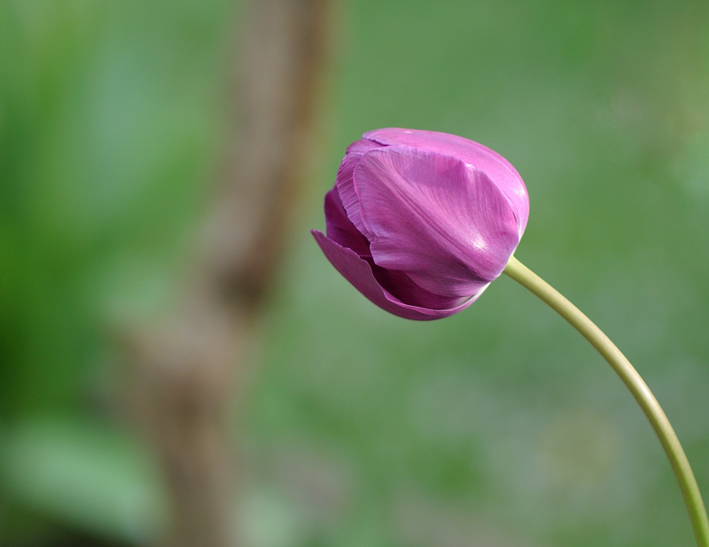 DSC1509

Samyang 85/1.4 @ 1.4 1/1000 ISO 200