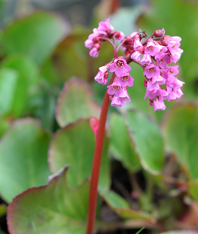 DSC1518

Samyang 85/1.4 @ f2.0 1/200 ISO 200