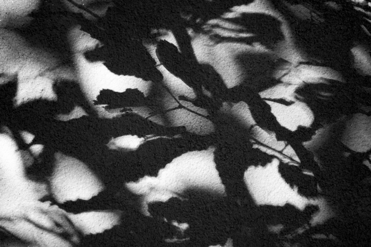 DSC1543 PS w