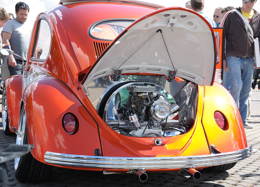 DSC1564