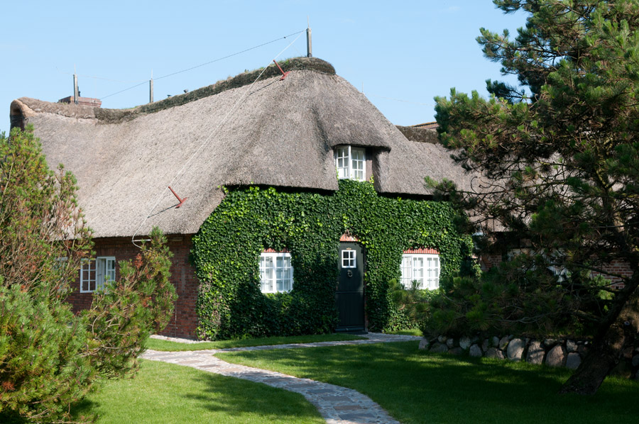 DSC1596