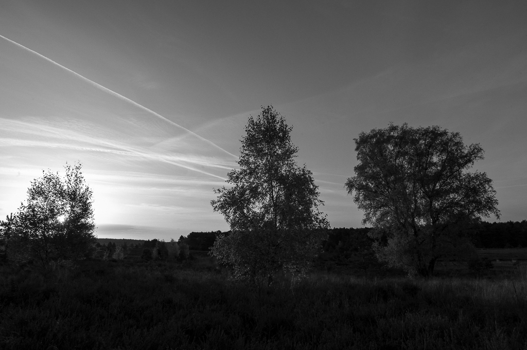 DSC1704