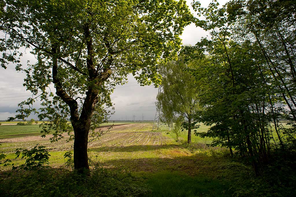 DSC1808 1024 ps1
Blick in die Marsch des Alten Landes bei Agathenburg.
Das Foto wurde mit meinem Lieblingsobjektiv, dem Nikkor AIS 3.5/20mm, dass ich 