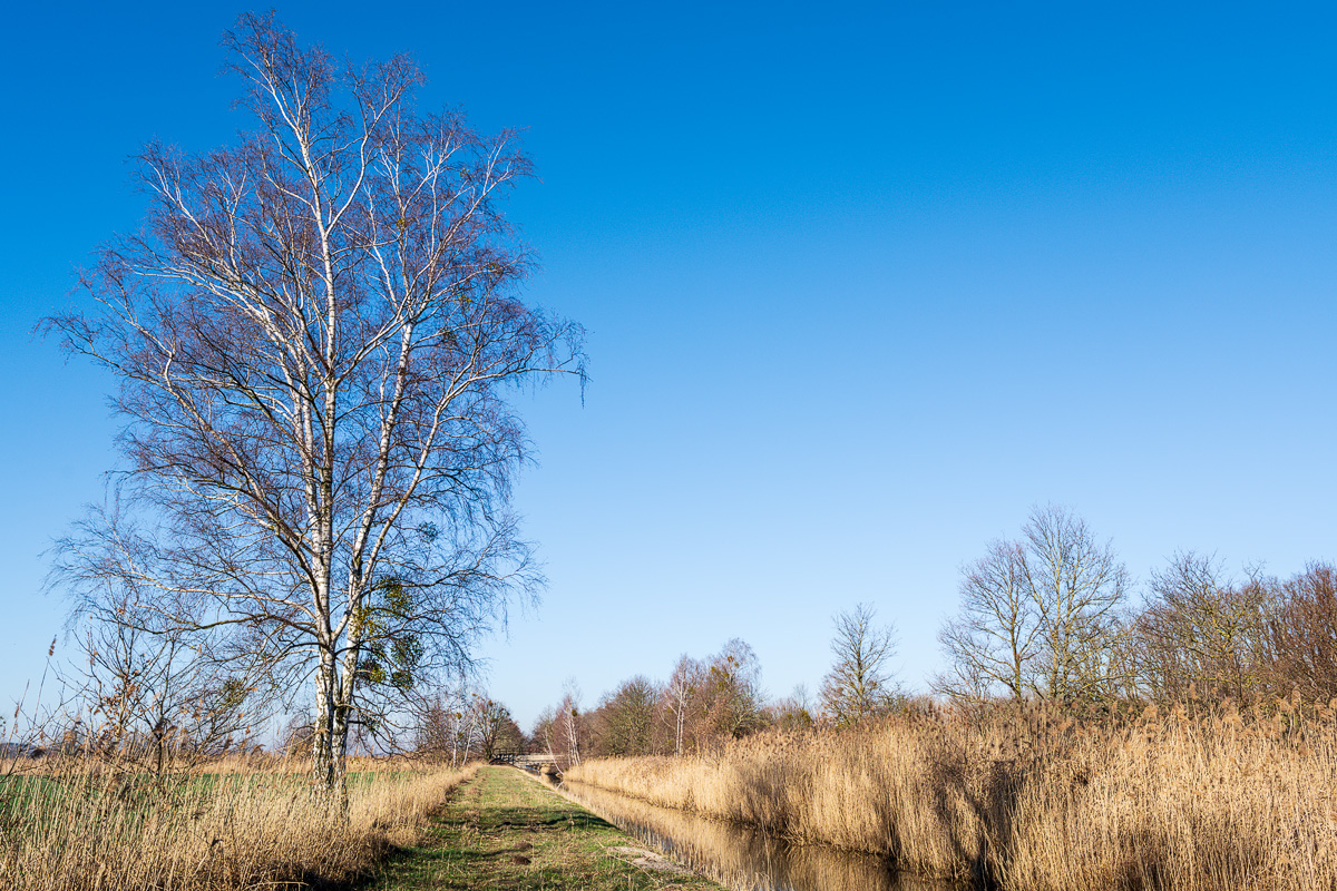 DSC1816 27 02 2019
Bäume, Wolfsburg, Natur, Landschaft