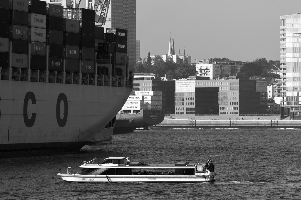 DSC1854