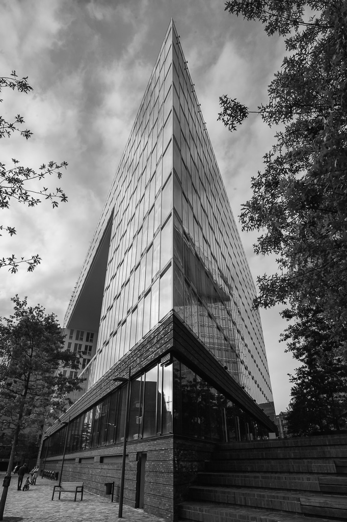 DSC1947