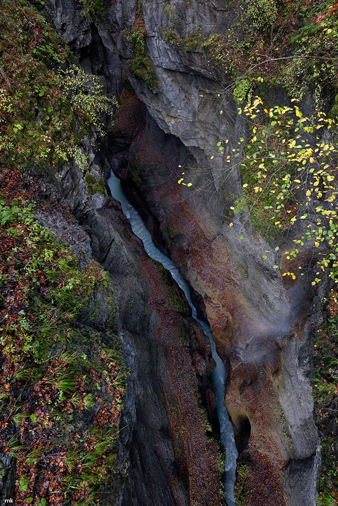 DSC2072