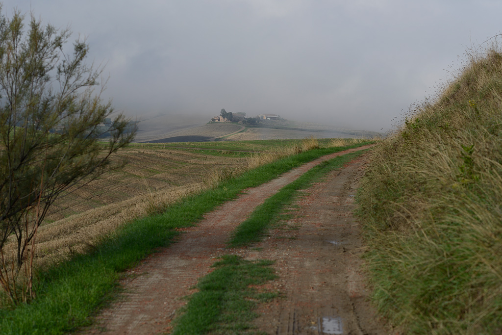 DSC2276kjws