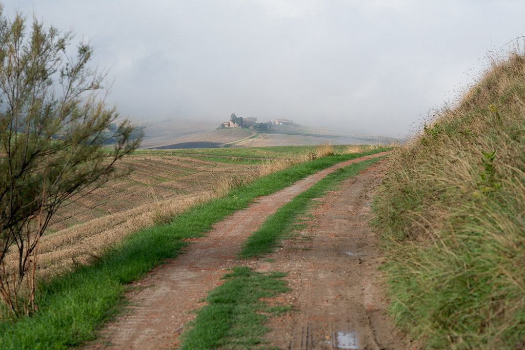 DSC2276kws