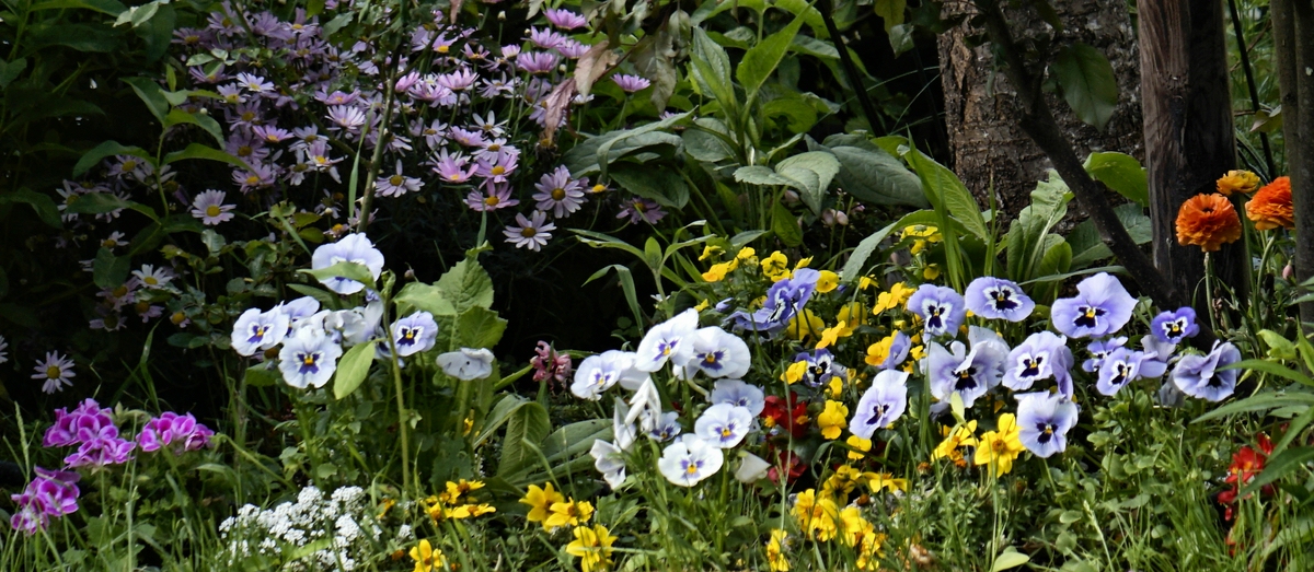 DSC2302.jpg