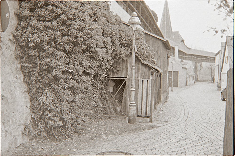 DSC2312 bearbeitet 1