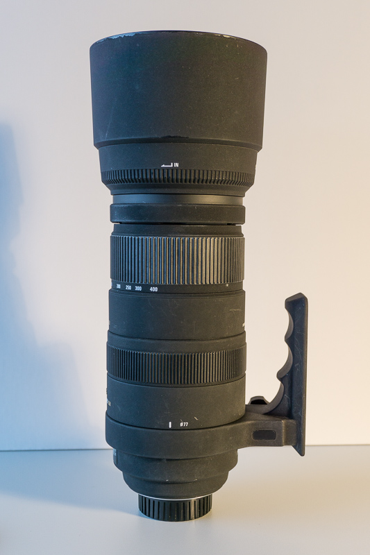 DSC2395