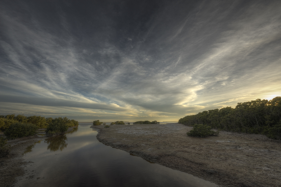 DSC2529 30 tonemapped NF F
Everglades