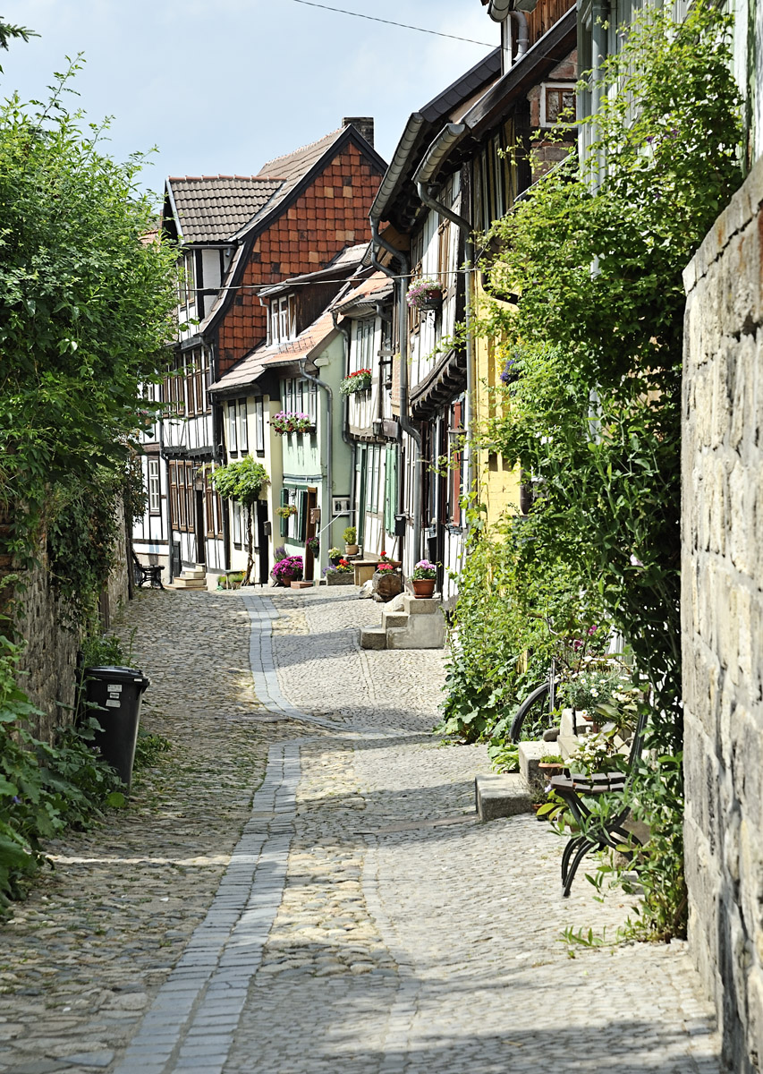 DSC2584