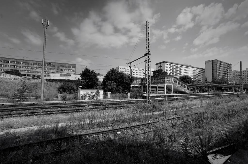 DSC2666.tif