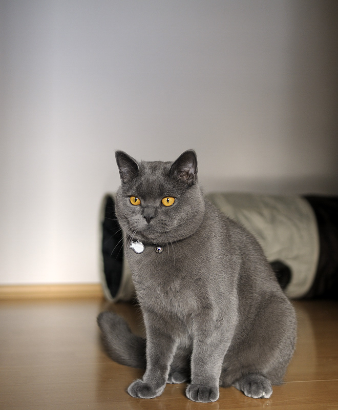 DSC2769