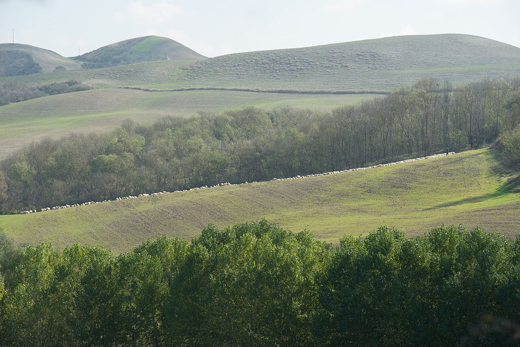 DSC2807kws