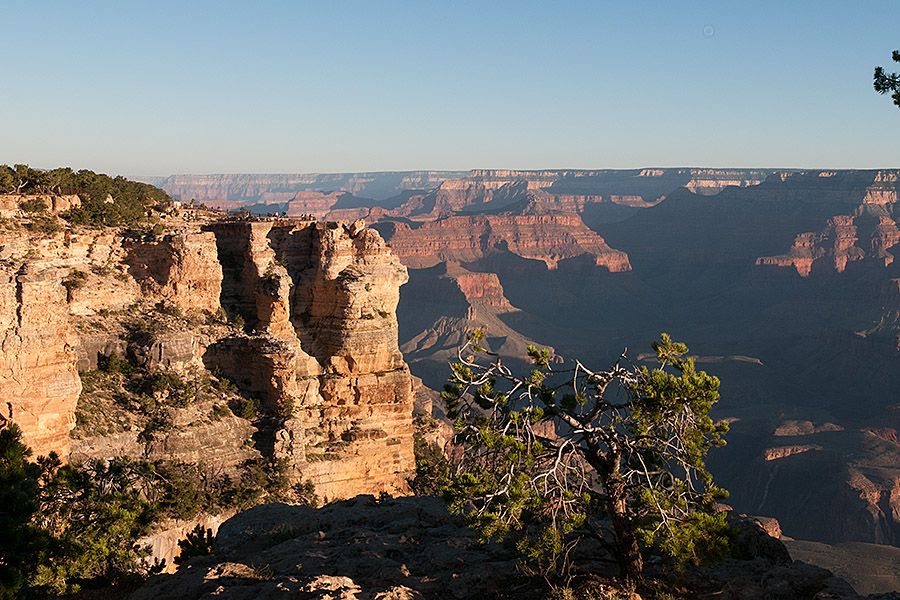 DSC2809 900 600