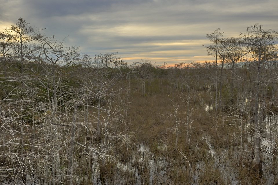 DSC3075 6 9 tonemapped NF-F
Everglades