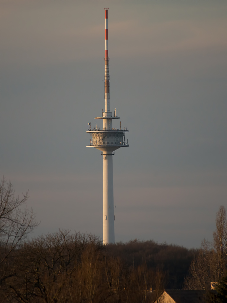 DSC3140 FTURM