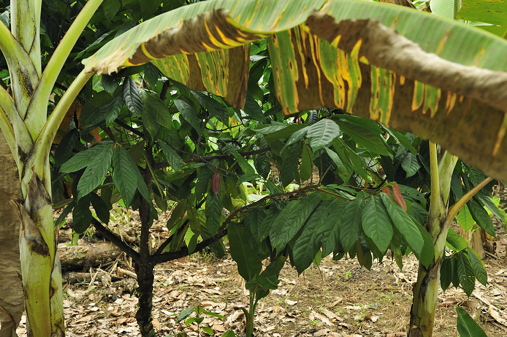 DSC3255 web