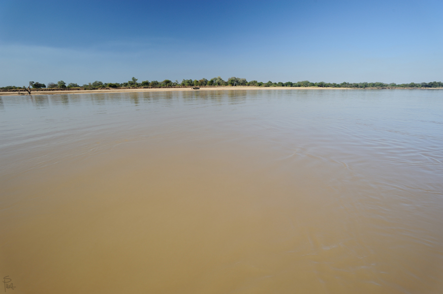 DSC3281 NFF