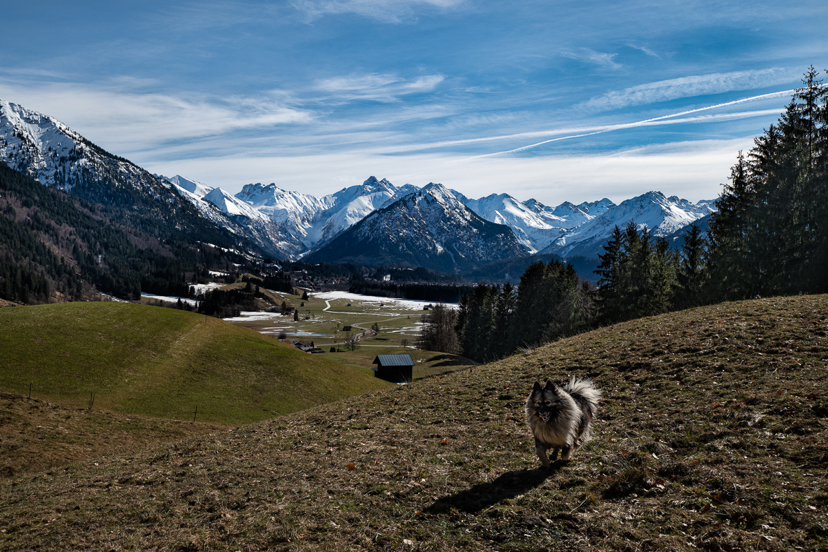 DSC3369 Bearbeitet 1