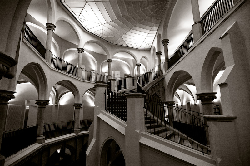 DSC3502