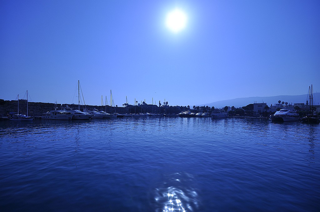 DSC3572a